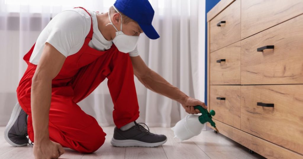 capa dedetizacao em Santos